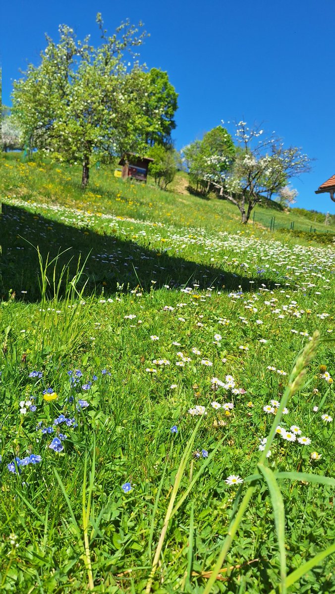 Branko Cestnik ﻦ tweet media