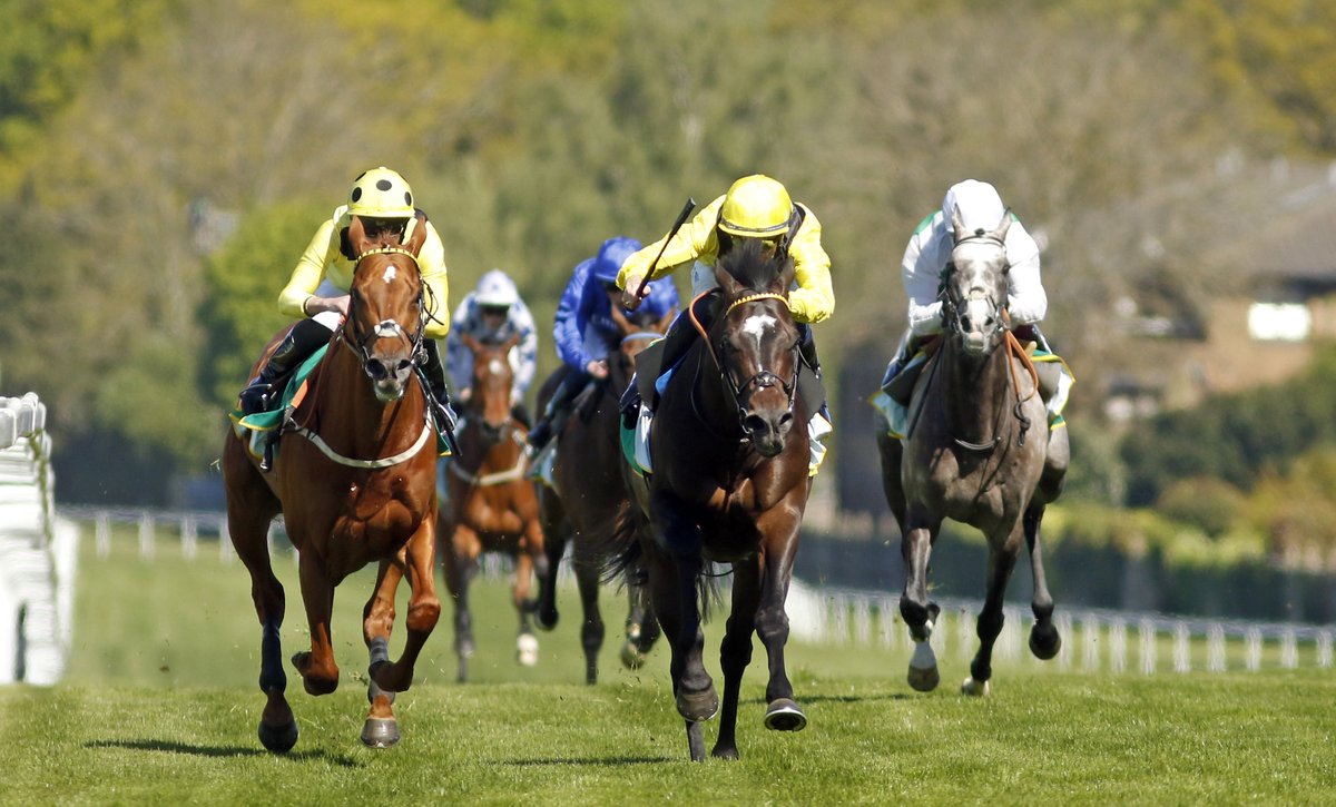 Roger Varian tweet media