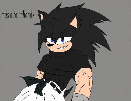 YhonyTale's tweet photo. Como Yhony y Yhoana The hedgehog se ven y como @Willow_BlackJr los ve :v https://t.co/A7BhM60bTL