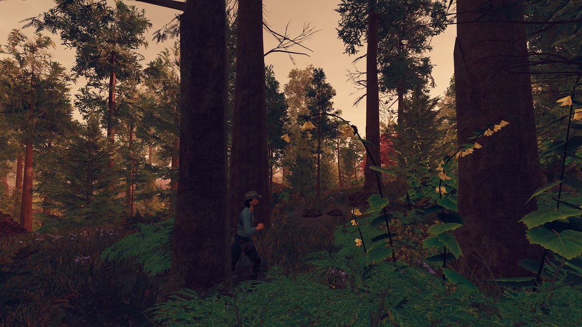 🌻(´ω`) 🐹🐶Panse@Starfield/Fallout/TES/ボダラン４/ぽこポケ tweet media