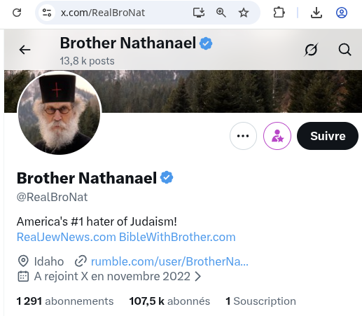 Vigilance Anti-Nazis tweet media