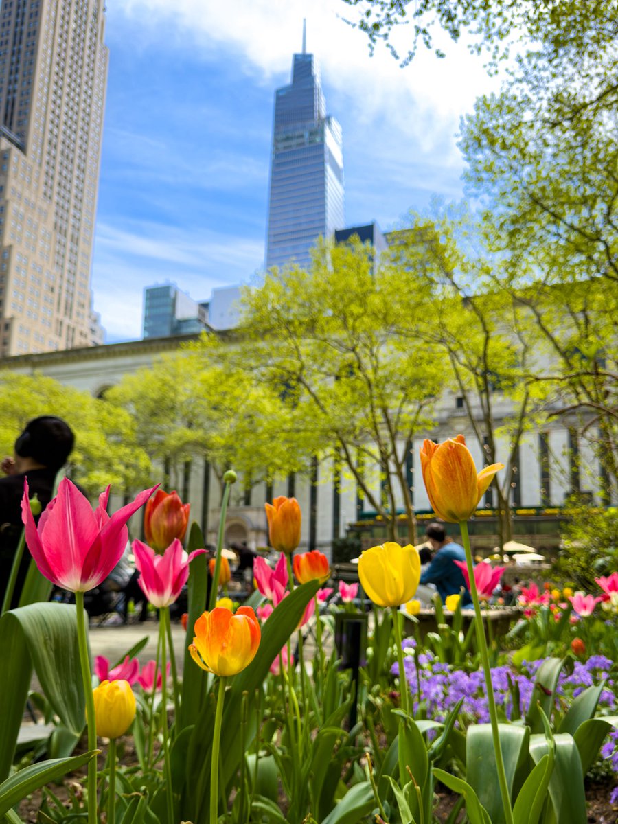 bryantparknyc's tweet image. These flowers are for you 🌷🌸🌼.