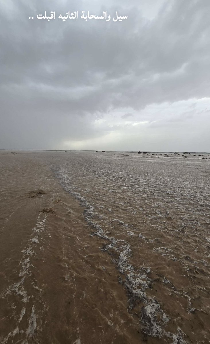 ابو فايز  & الهويملي tweet media