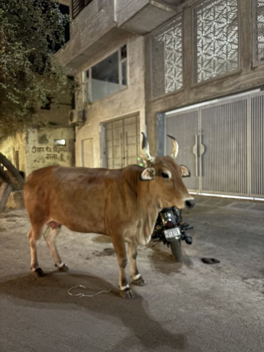 すーさん tweet media