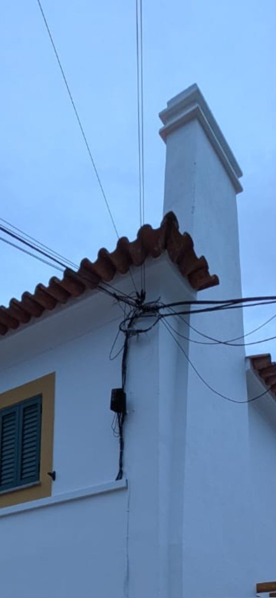 Figueira tweet media