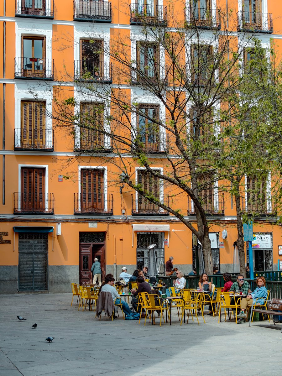 Visita_Madrid's tweet image. Este plan tiene nombre ☀️ ¡Etiqueta a quien se vendría contigo a esta terraza!

#Madrid #VisitMadrid #Spain