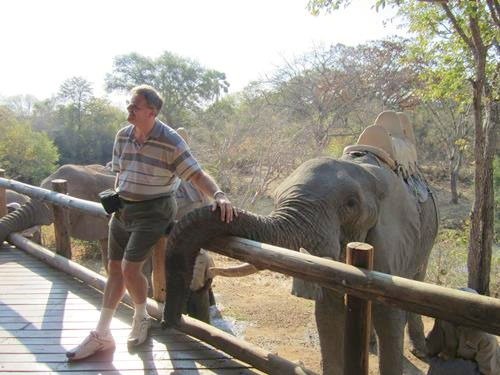 BaSnorkel's tweet image. The town of Victoria Falls in #Zimbabwe has the world's largest #waterfalls with the world's largest sheet of falling water. But there is much more to see and do. 
Here are the 3 best things to do in Victoria Falls:
#Travel #BUCKETLIST #TravelBlog backpackandsnorkel.com/Zimbabwe/