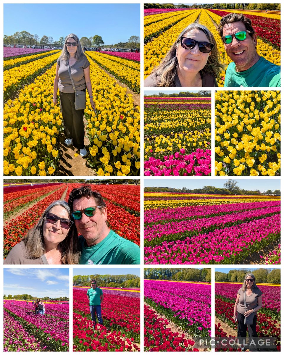 RoamingLiz tweet media