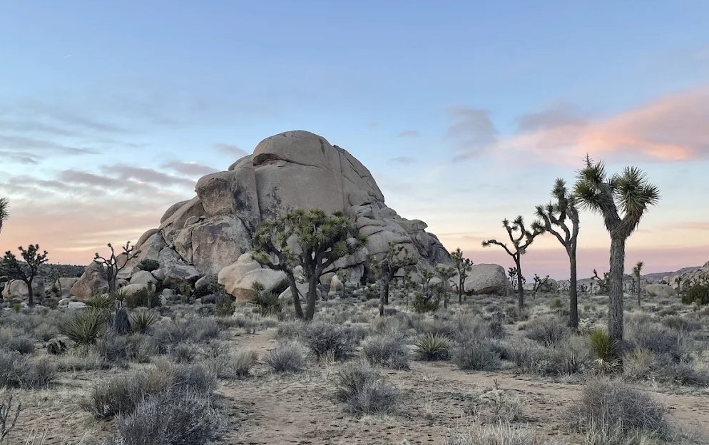 Kriss Berg, etc. tweet media