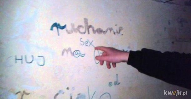 Zorza Polarna tweet media