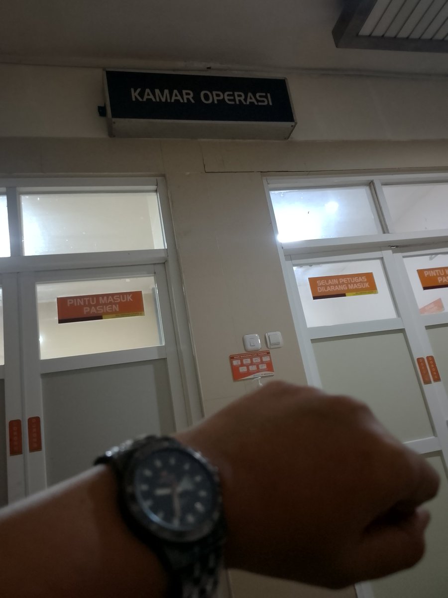 Misty Kate tweet media