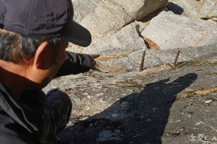 ナユタ🇯🇵🍊 tweet media