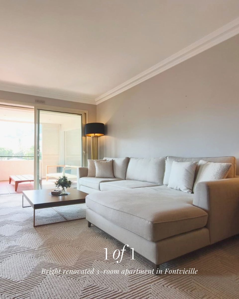 Monte-Carlo Sotheby's Int. Realty tweet media