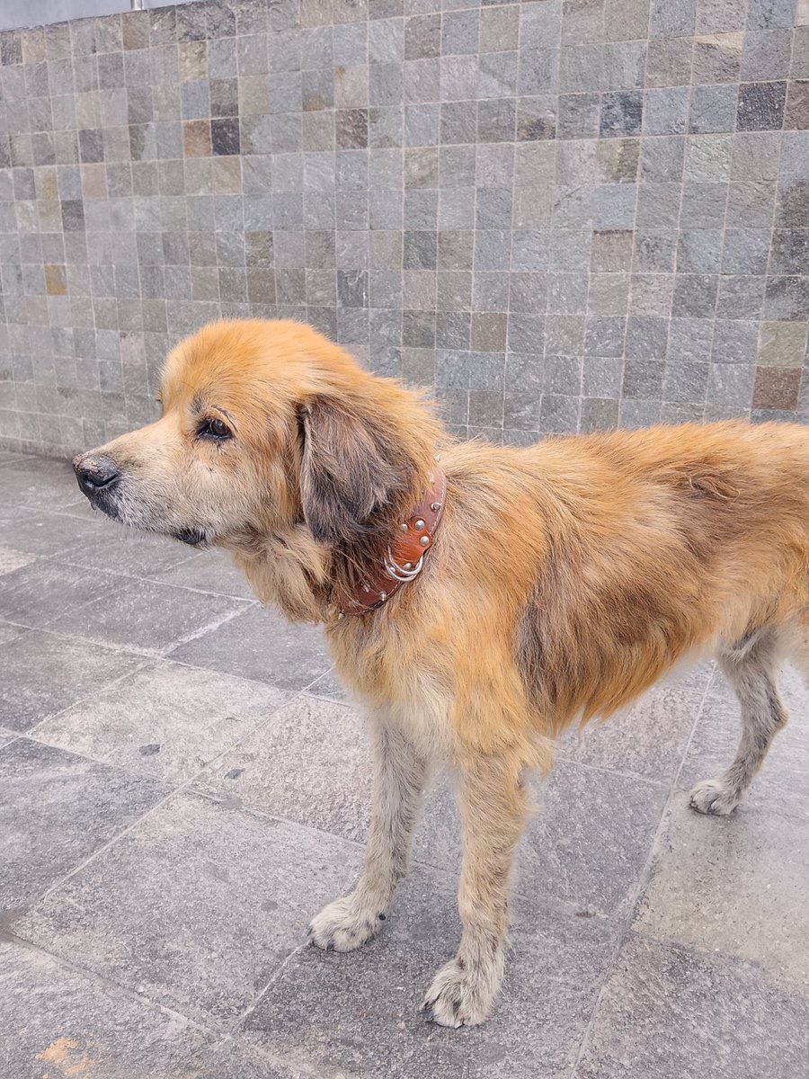 Luis Castillo tweet media