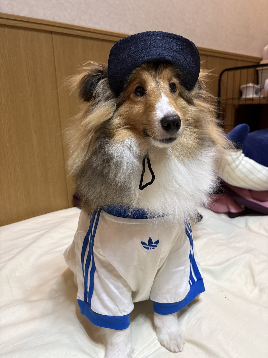 ℙ𝕆ℕ𝕋𝔸!! tweet media