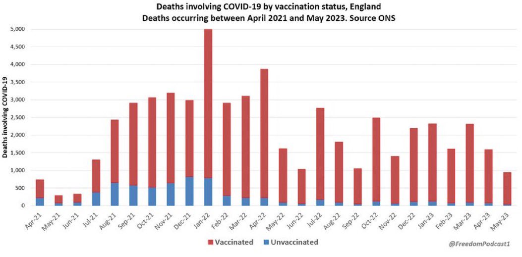 Carol Koefoed tweet media