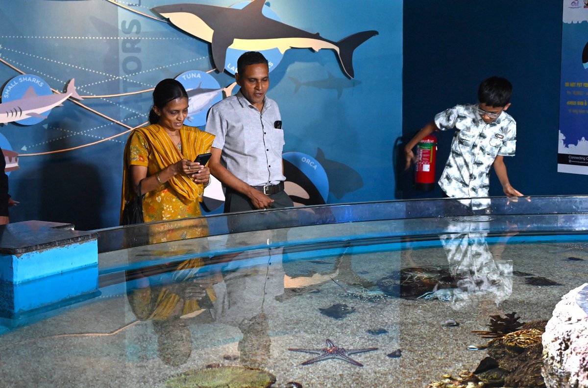 GujScienceCity's tweet image. જ્યાં પાણીમાં છુપાયેલું છે અજાયબીઓનું વિશ્વ! સાયન્સ સિટીની Aquatic Galleryમાં દરેક ક્ષણ બને છે નવી શોધ. રંગીન માછલીઓ અને અદ્ભુત જલચર જીવન સાથે અનુભવો સમુદ્રી દુનિયાનું જીવંત સૌંદર્ય. #UnderwaterWorld #AquaticExperience #ScienceForAll #GujaratScienceCity @PMOIndia @CMOGuj