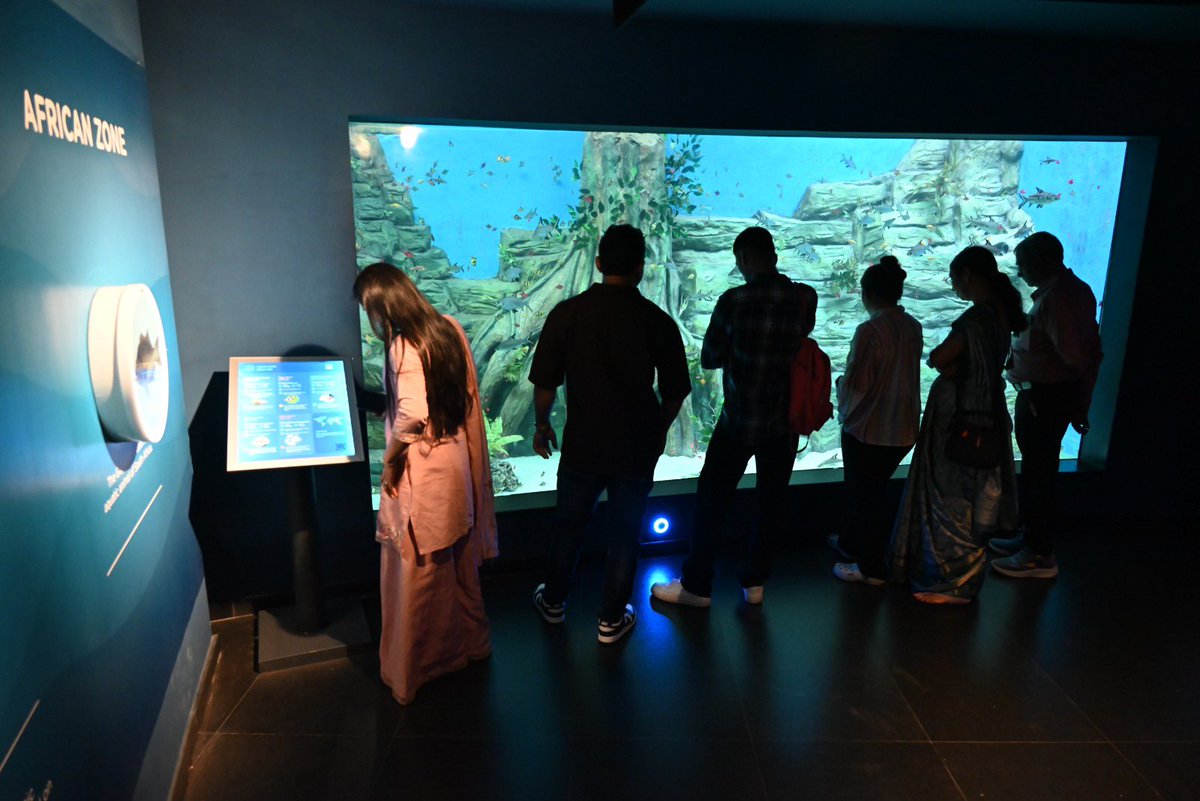 GujScienceCity's tweet image. જ્યાં પાણીમાં છુપાયેલું છે અજાયબીઓનું વિશ્વ! સાયન્સ સિટીની Aquatic Galleryમાં દરેક ક્ષણ બને છે નવી શોધ. રંગીન માછલીઓ અને અદ્ભુત જલચર જીવન સાથે અનુભવો સમુદ્રી દુનિયાનું જીવંત સૌંદર્ય. #UnderwaterWorld #AquaticExperience #ScienceForAll #GujaratScienceCity @PMOIndia @CMOGuj