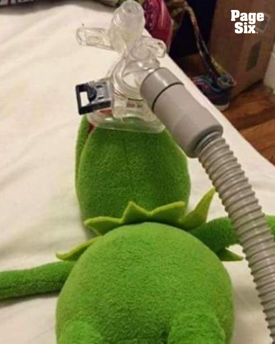 Page Six tweet media