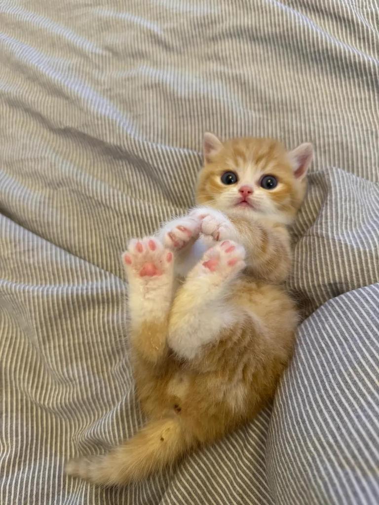 Jenifer raks (@hornyba39742071) on Twitter photo 