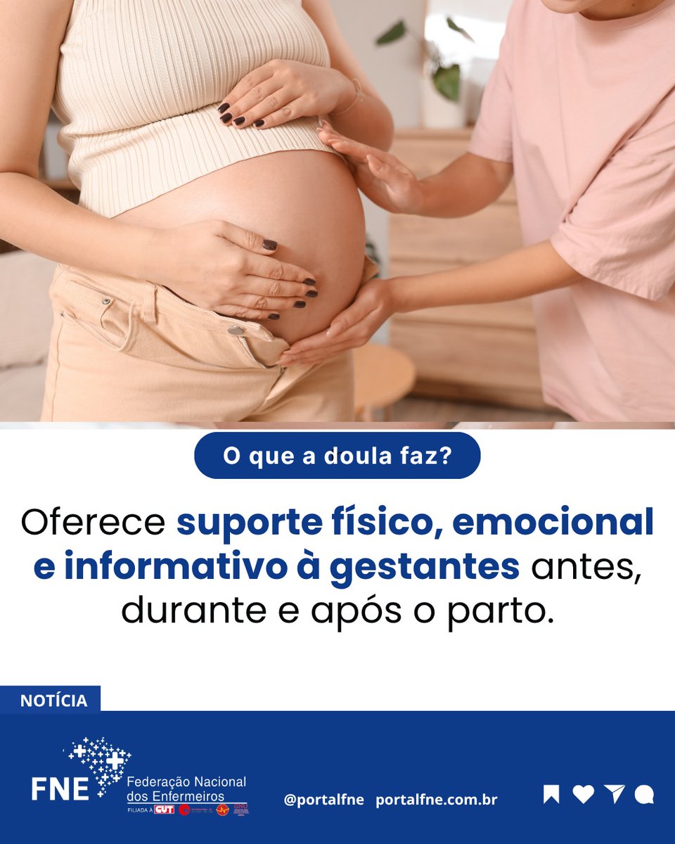 Portal FNE tweet media