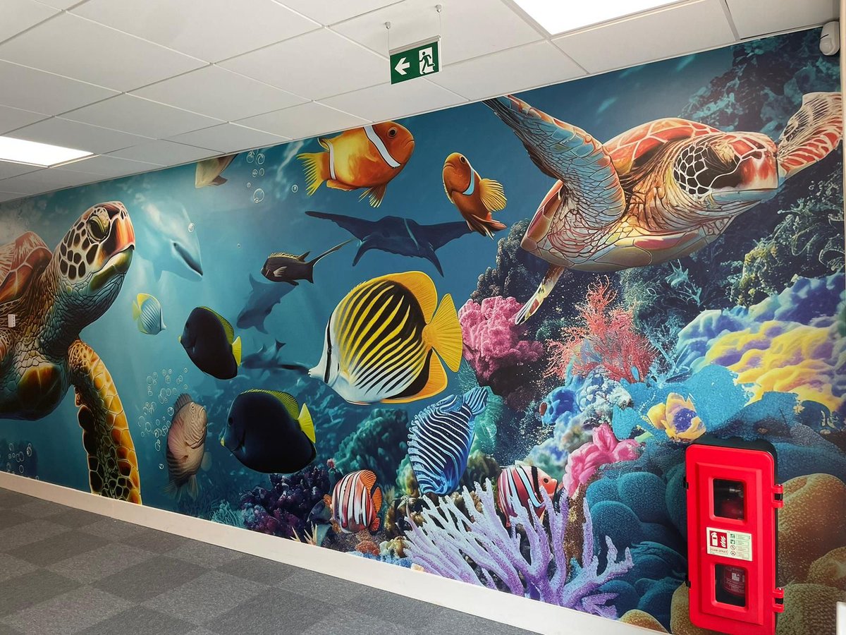 Design4Ed's tweet image. Explore the soothing and supportive atmosphere at Highfield Ely Academy, featuring stunning #WallArt and #SensoryArt crafted for educational purposes. Experience the impressive final results for yourself!

More ideas? Take a look: designforeducation.co.uk/wall-displays-…
#DesignForEducation