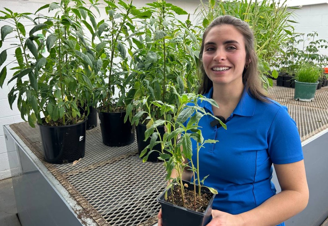 realagriculture's tweet image. Waterhemp is spreading in Ontario, threatening soybean yields. UofG's @IsabelleAickle1 shares how to ID and control the pest in the latest #Soybean School episode.  
ow.ly/rPJL50YP3n6 #ontag #weeds #cdnag
