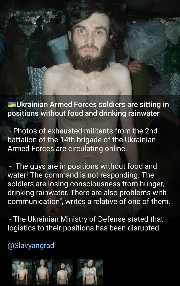 Aurora Blaze tweet media