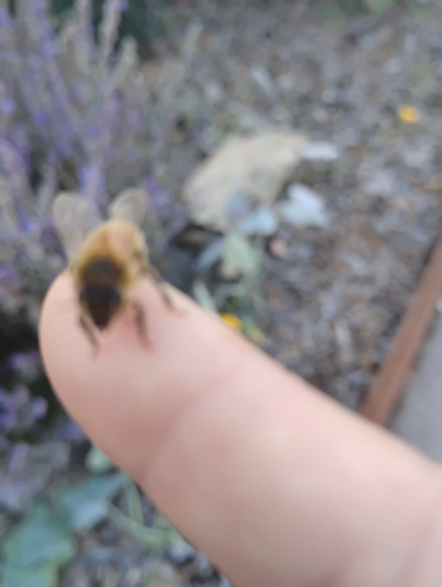 Heart Sleeve tweet media