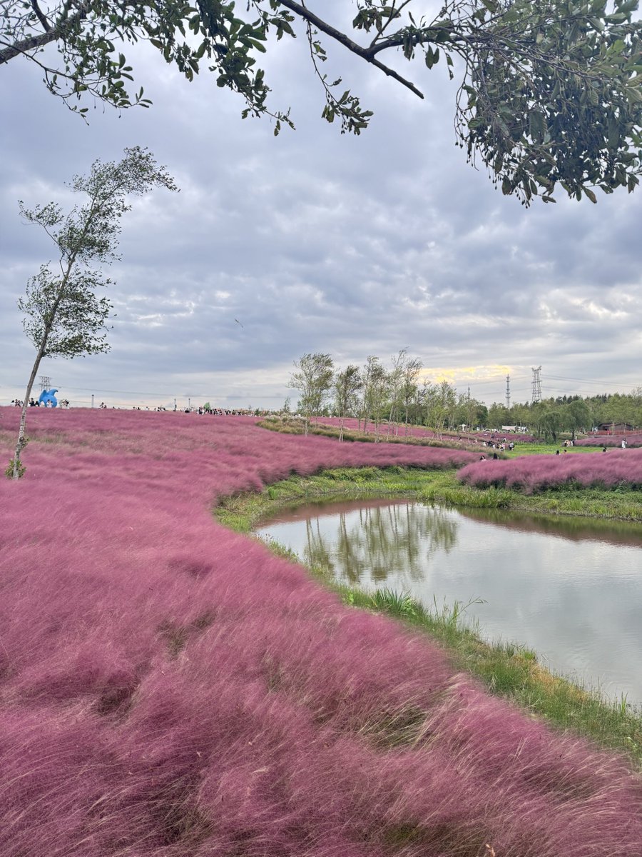 Siegfried OGÉ tweet media