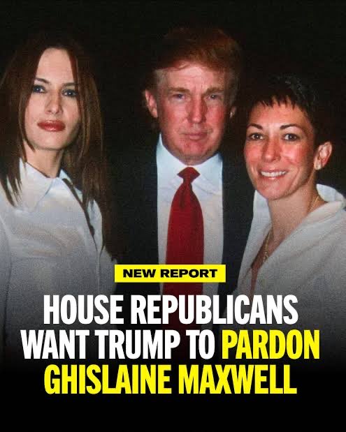 Not Your Average Liberal tweet media