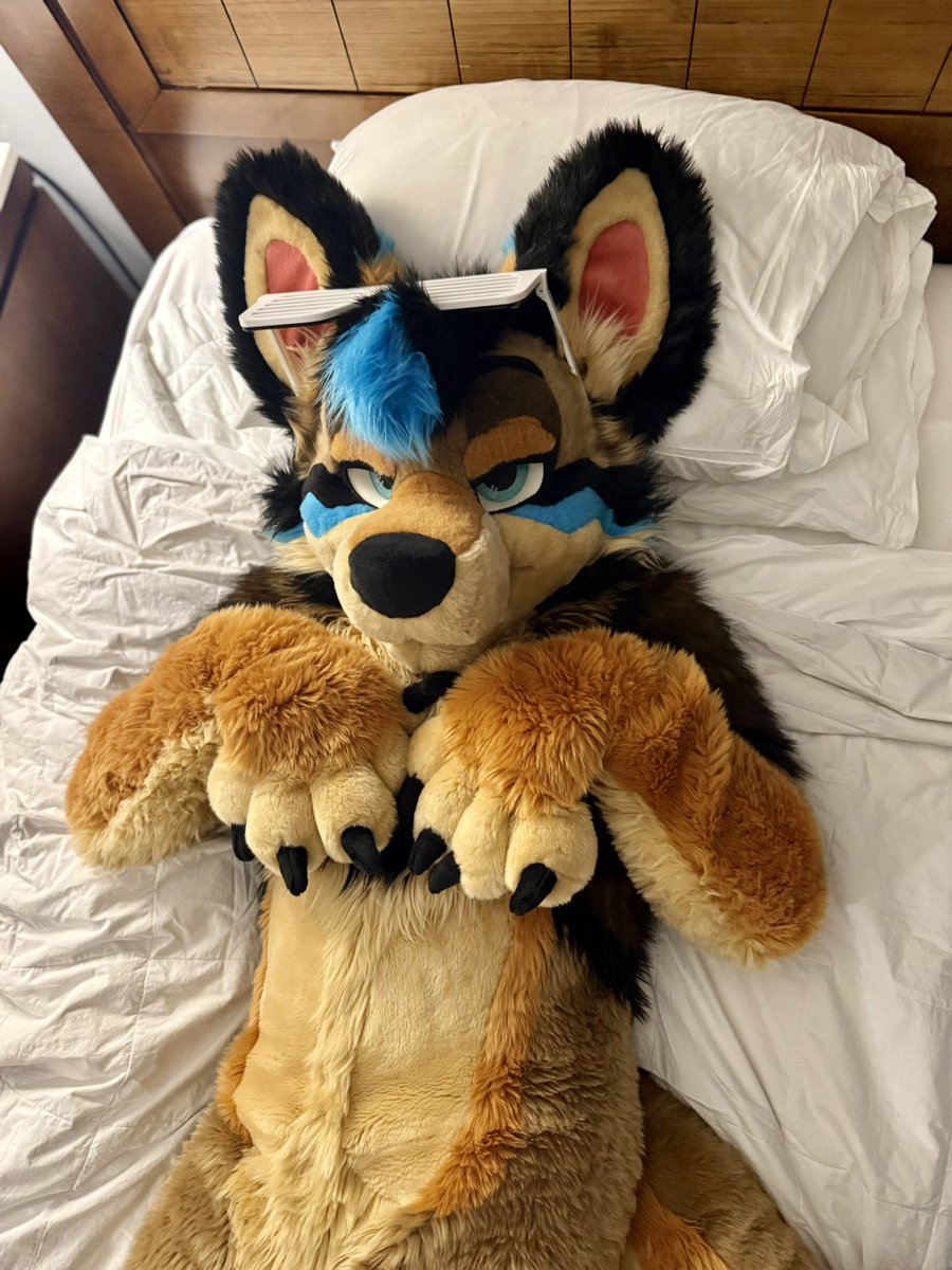 The Yotte 🔜 LVFC, FWA tweet media