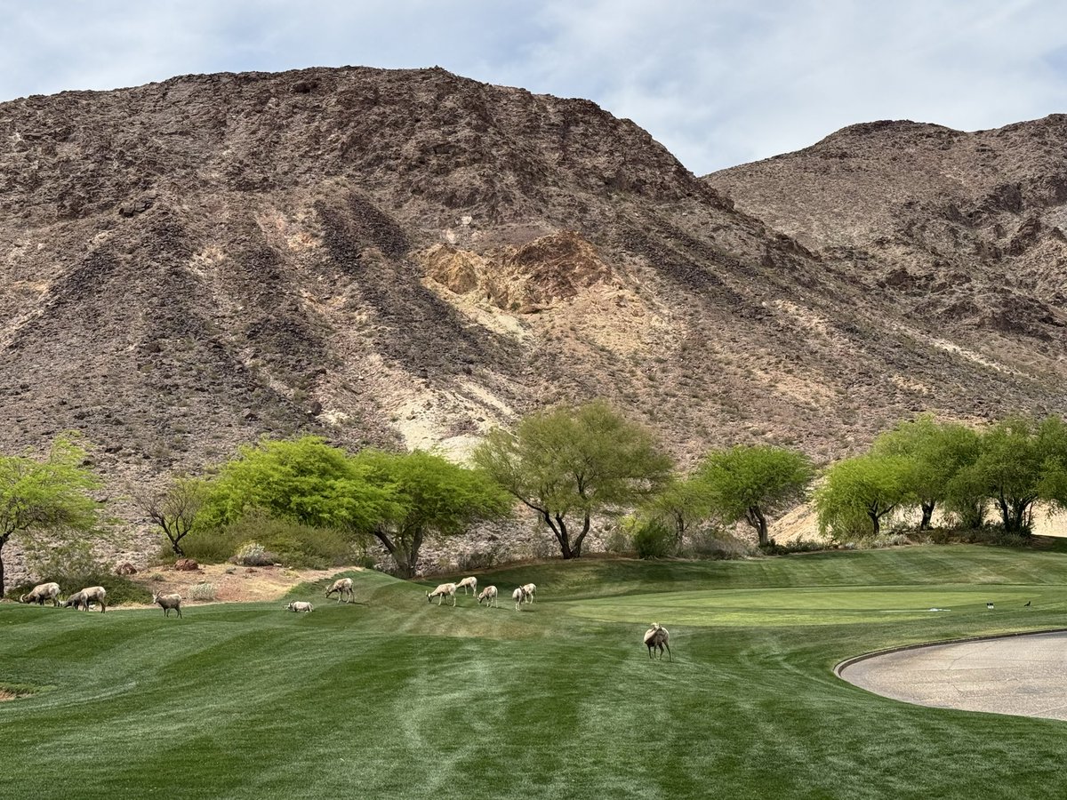 MerlinLLC's tweet photo. Daryl Quick hit the course last month for the annual Faith Lutheran Spring Golf Classic. It was a day of great drives, occasional divots, and even better company as he teamed up with his old college roommate for the tournament.🏌️‍♂️☀️ https://t.co/YdNpAiqkkQ