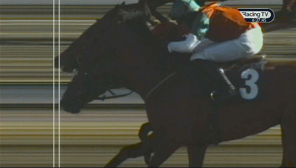 Bet Angel - Betfair trading tweet media