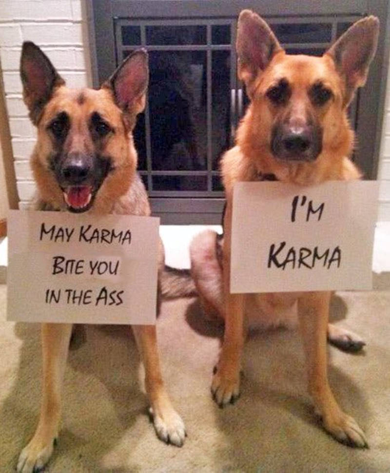 Aribert Deckers tweet media