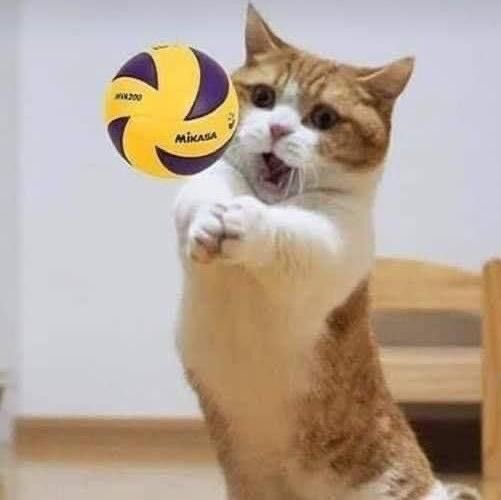 iamtheduckx's tweet image. อันนี้ใช่เมี๊ยวโร้ดปะคับ

⊹♡ᵎ #ออฟโรด #OFFROAD #offroadKTP ྀི  ׄ  ੭