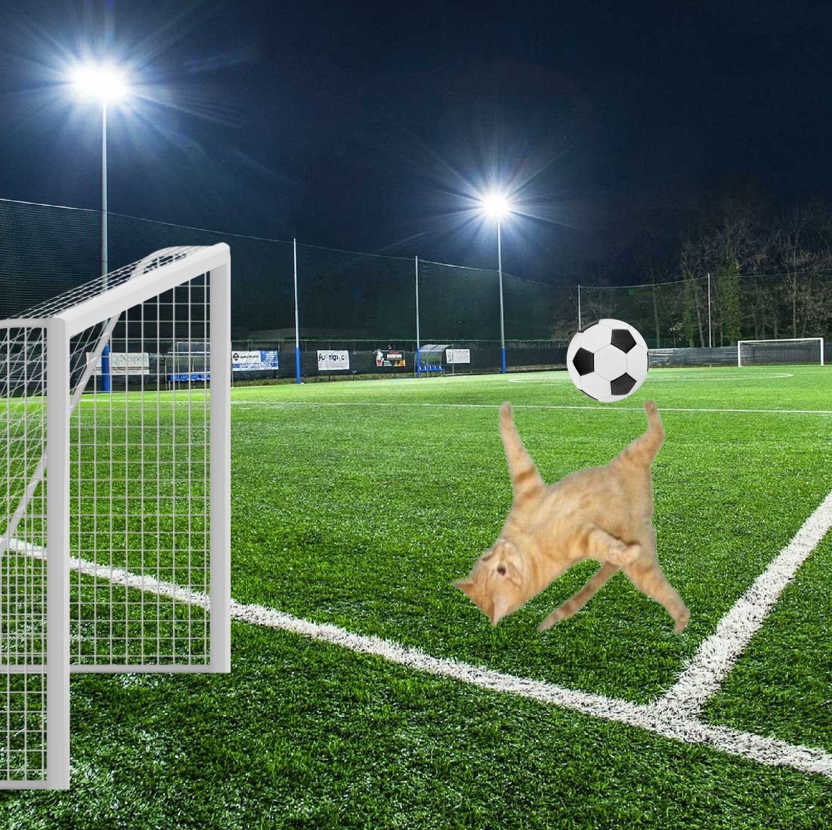 iamtheduckx's tweet image. อันนี้ใช่เมี๊ยวโร้ดปะคับ

⊹♡ᵎ #ออฟโรด #OFFROAD #offroadKTP ྀི  ׄ  ੭