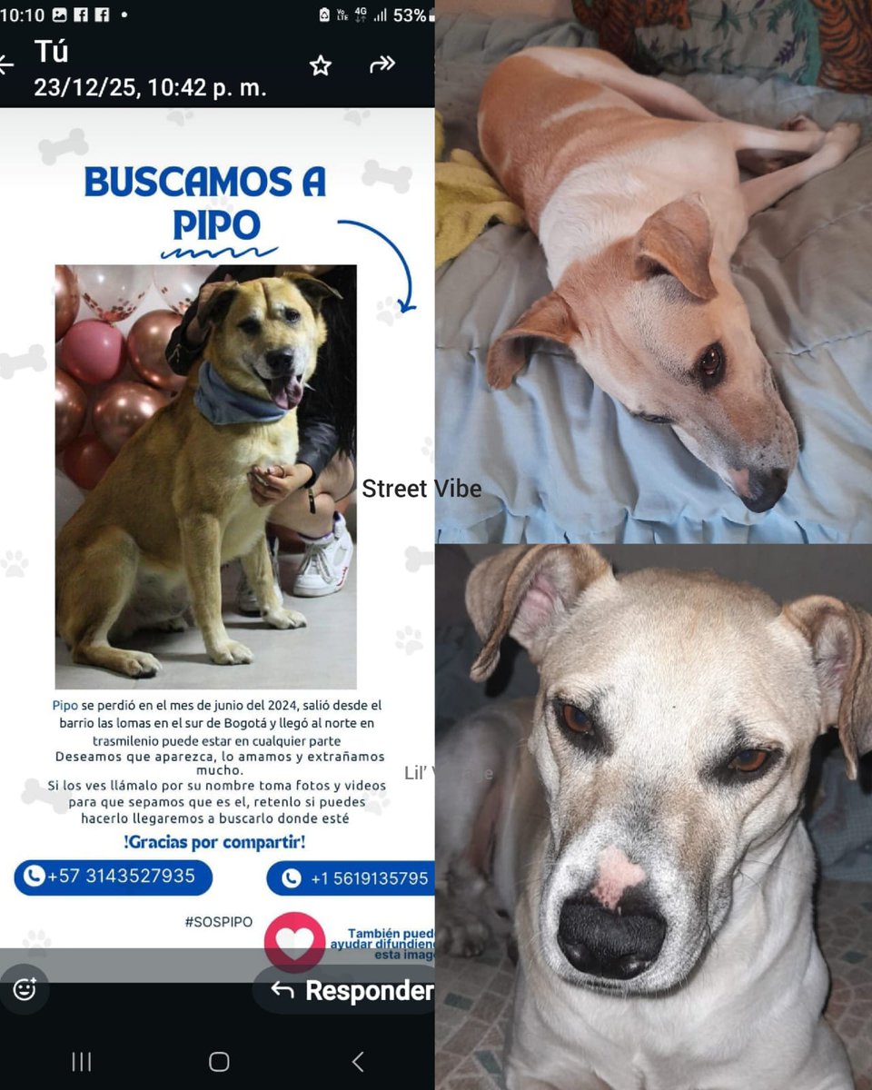 Margarita Vela 🌳🍀🌽🌼 tweet media