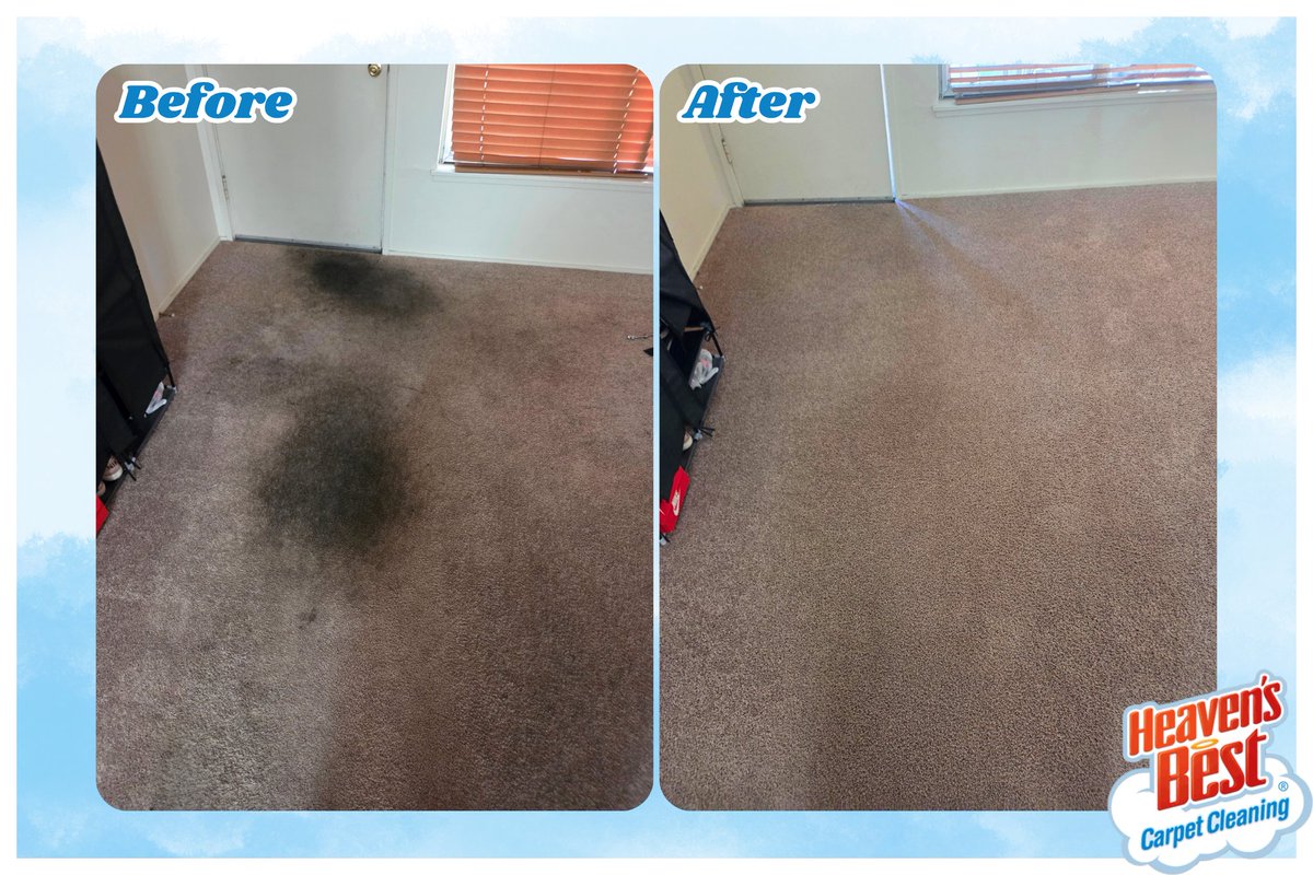 HeavenTri's tweet photo. Eliminate your stress and let us take care of the mess - your carpets will be clean, dry, and ready to be walked on in just one hour with Heaven's Best! 👣☁️

(509) 628-2378
https://t.co/qHcSC3TAmh

#heavensbest #tricities #bestoftricities #carpetcleaning https://t.co/utaQiQsrjZ