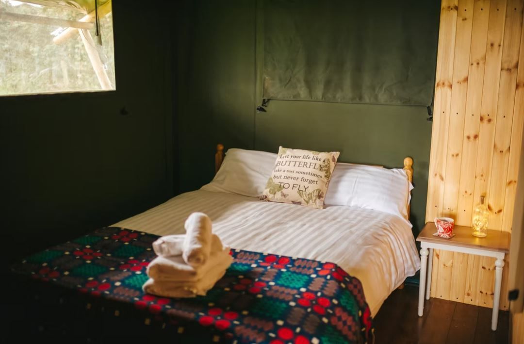 WeAcceptPets's tweet image. 🌿 Hillside Glamping Holidays 🌿

The safari tents are positioned within a spacious 5-acre field, boasting stunning views across Gower, including the Loughor Estuary, charming hamlets &amp;amp; dramatic rocky outcrops. ⛺

Accepts 🐶 🐈
weacceptpets.co.uk/Glamorgan/8308

#GowerPeninsula #Glamping