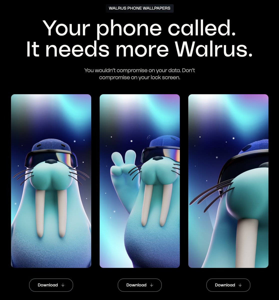 Walrus 🦭/acc tweet media