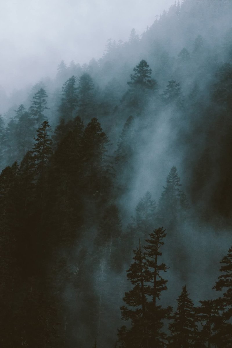 WadeRog92024938's tweet image. Karl Shakur.

#Photography