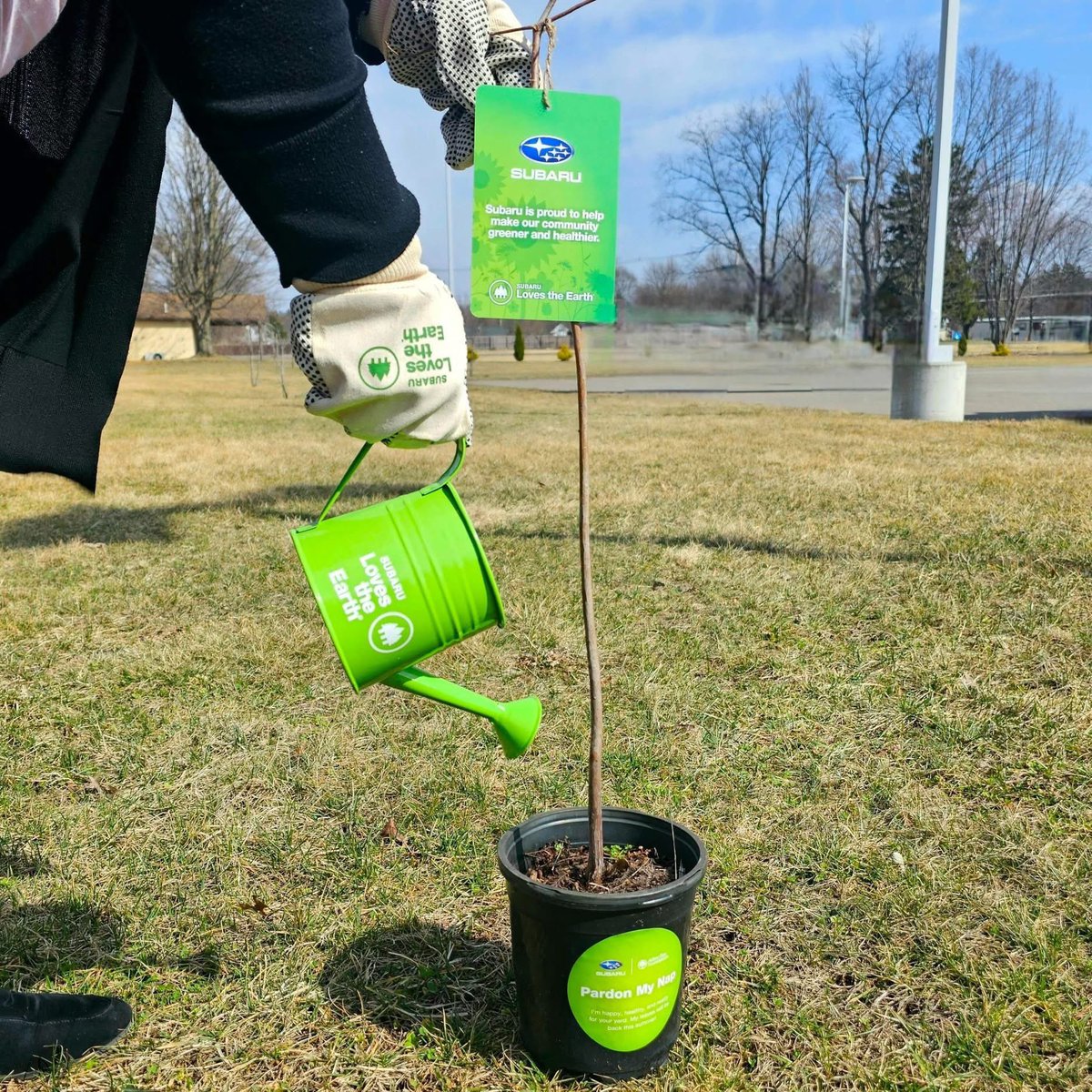 WilliamsSubaru's tweet photo. We still have trees here wondering where their new tree mom/dad are! If you have not picked up your reserved tree, stop down to the dealership to snag it, you have until Saturday, April 25th! See you soon! 🤩🌳 https://t.co/ceMC4eyZS0