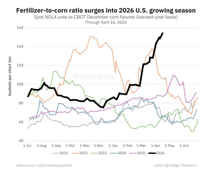 Winston1999 tweet media