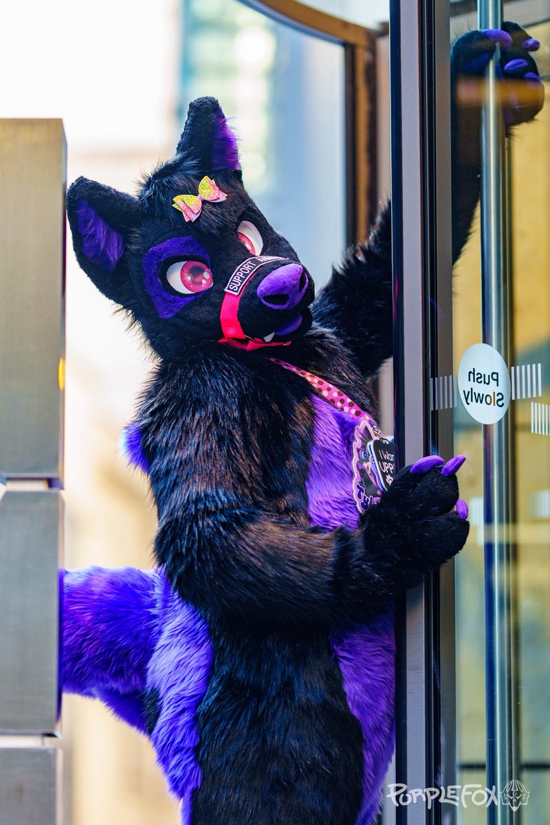 Tyler Wusky @ CFz tweet media
