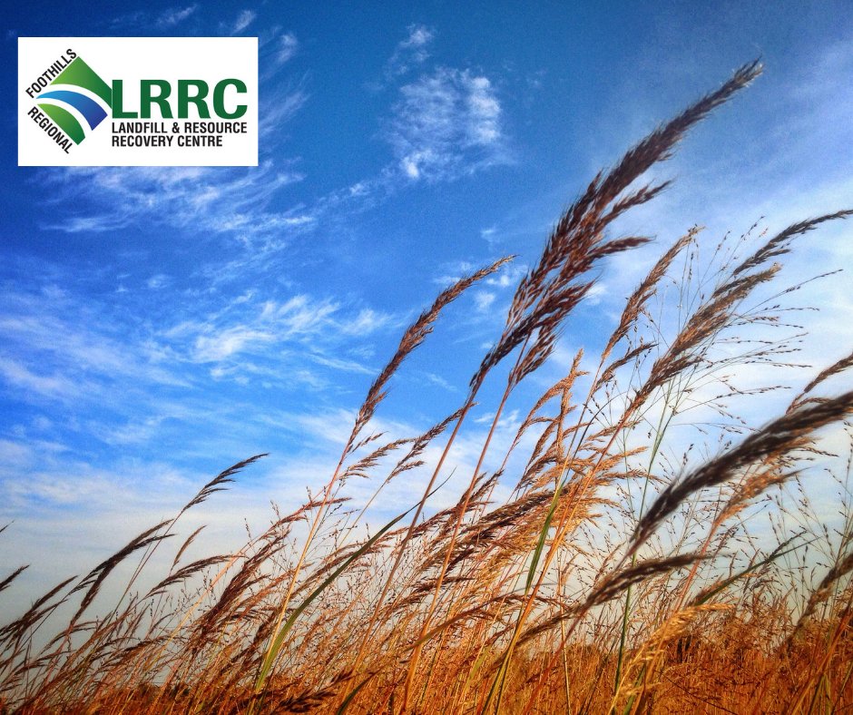 Effective Friday, April 24 at 8:30 a.m., the Foothills Regional Landfill is closed due to wind speeds over 60km/h.
The site closes when winds maintain over 60 km/h for safety risks.