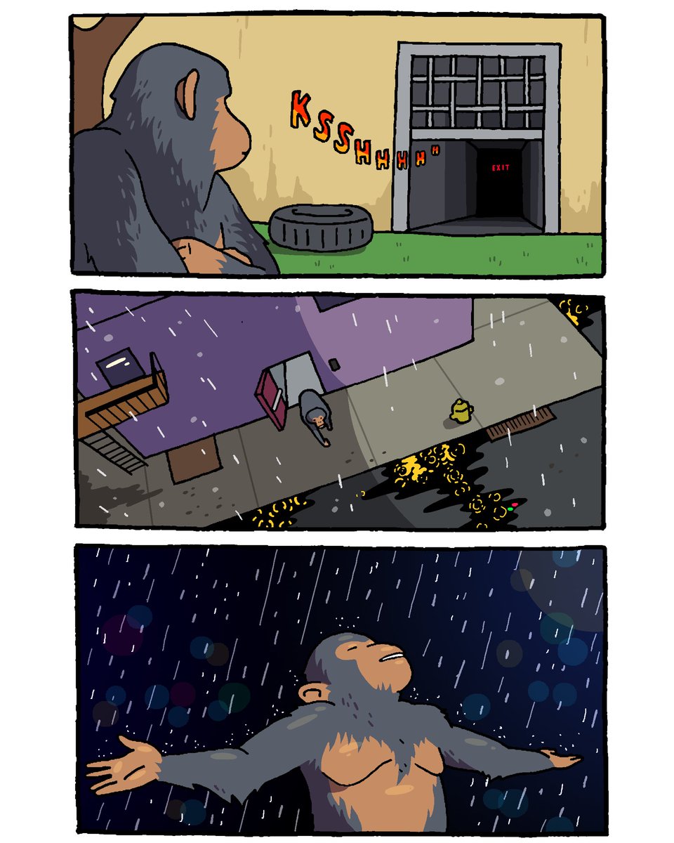 beetle moses tweet media