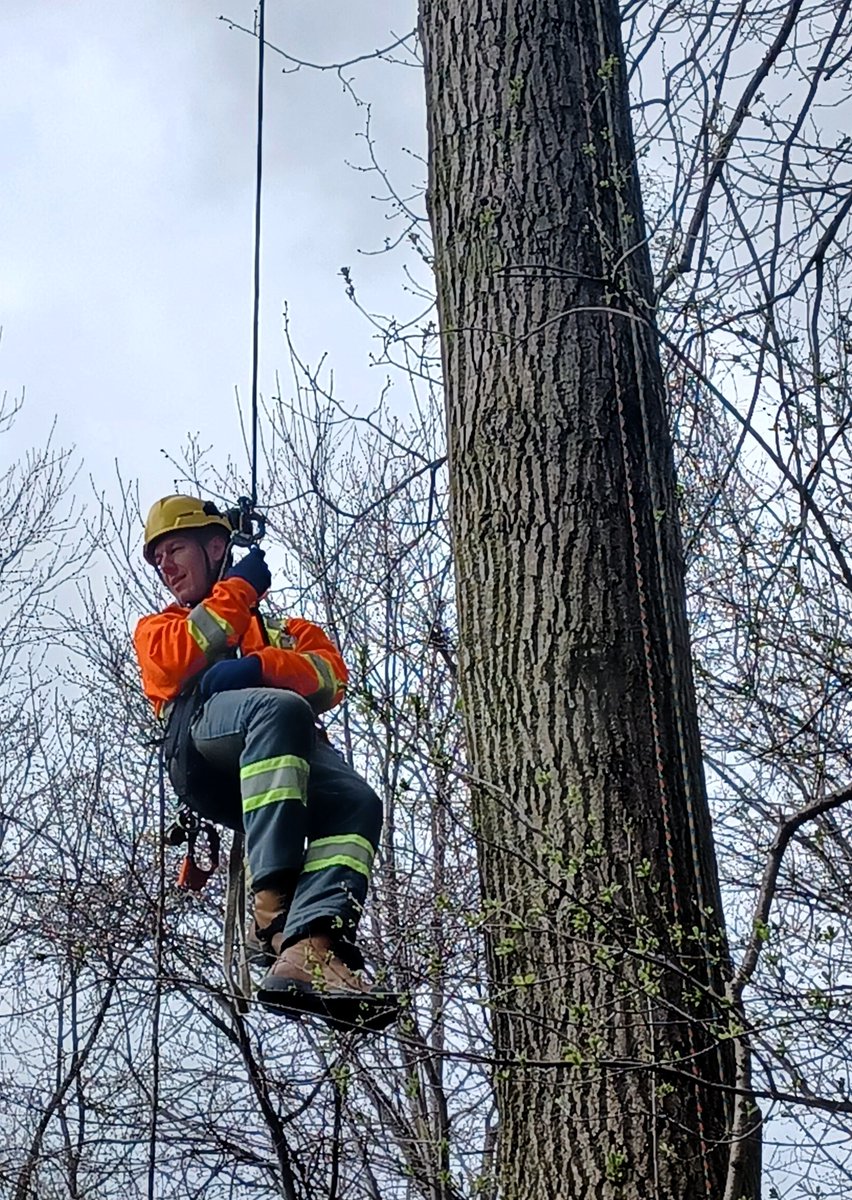 CLCTREESERVICES's tweet image. Happy birthday Peter! Here's to you on your next trip round the sun. 
#arblife #birthdayboy #clccrew