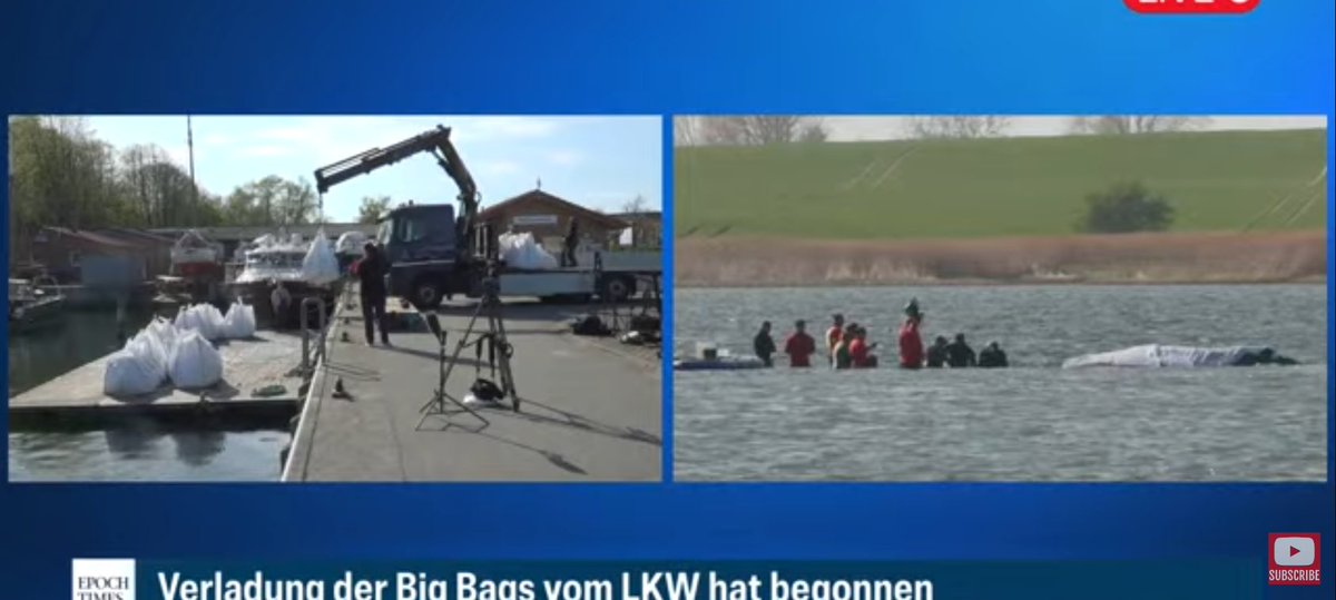 Kann mir jmd. sagen, was die alle beim #Wal machen? Ist heute noch irgendetwas geplant bei ihm? 🤔
#Buckelwal #Timmy 💙🐳💦🙏❤️