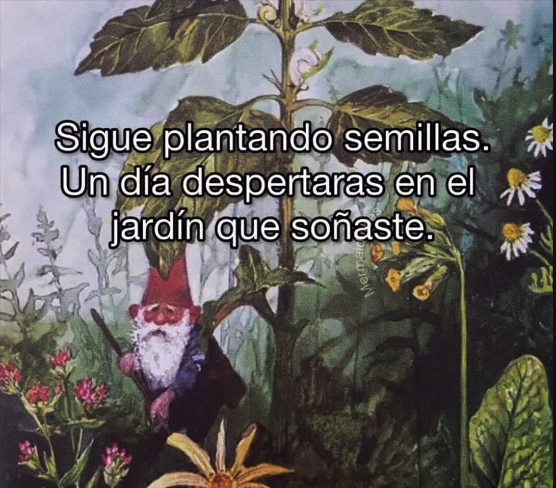 nación (@escritosnacion) on Twitter photo 
